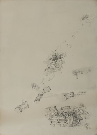 La larme - Donatella Merlo