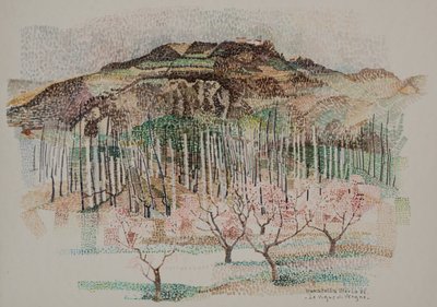 Le vignoble de Vergne - Donatella Merlo
