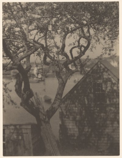 Scène de port, probablement Gloucester, Massachusetts - Doris Ulmann