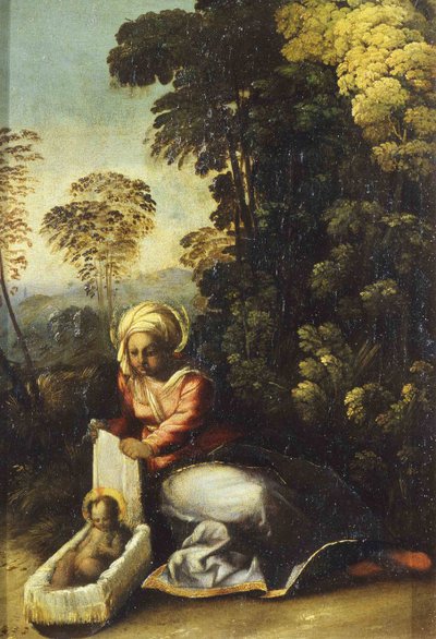 Madonna avec enfant La Zingarella, c. 1513 - Dosso Dossi
