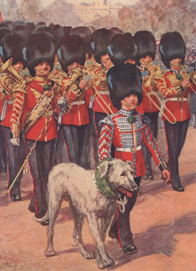 La fanfare et la mascotte lévrier irlandais des Gardes Irlandais portant le trèfle le jour de la Saint-Patrick - Douglas (after) Macpherson
