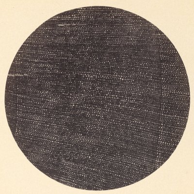 Microphotographie de section transversale de bois (Salisburia) - Dr. Arthur Durham