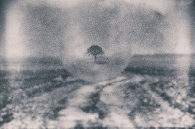 Le chemin vers l