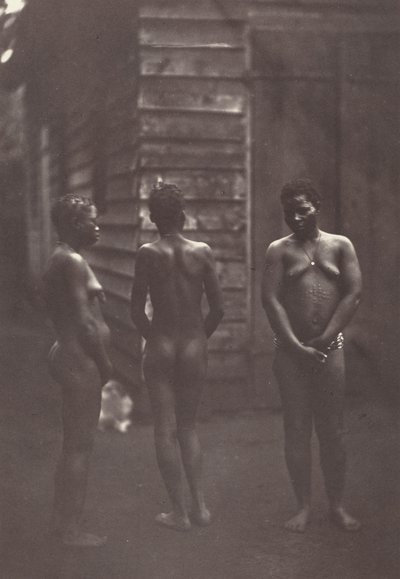 Trois Femmes Malgaches (Plate 30),1863 (photo) - Désiré Charnay