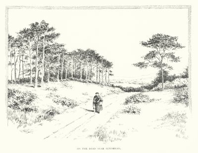 Sur la route près de Hindhead - Duncan Moul