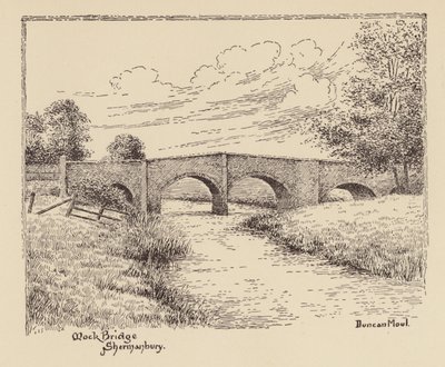 Sussex : Mock Bridge, Shermanbury - Duncan Moul