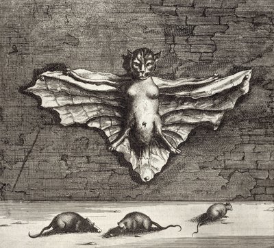 Une chauve-souris connue sous le nom de chat volant, de China Illustrated par Athanasius Kircher (1601-80) 1667 - Dutch School
