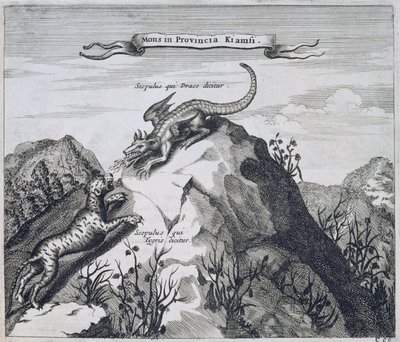 Une montagne dans la province de Jiangxi avec des falaises connues sous le nom de Dragon et Tigre, de la Chine illustrée par Athanasius Kircher, 1667 - Dutch School