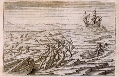 Collecte de bois flotté pour la cabane où l
