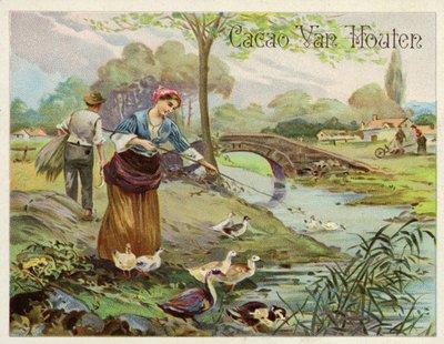 Élevage de canards - Dutch School