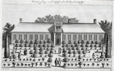 Jardin hollandais, de De Nederlandze Hesperides par Jan Commelin, publié en 1676 - Dutch School