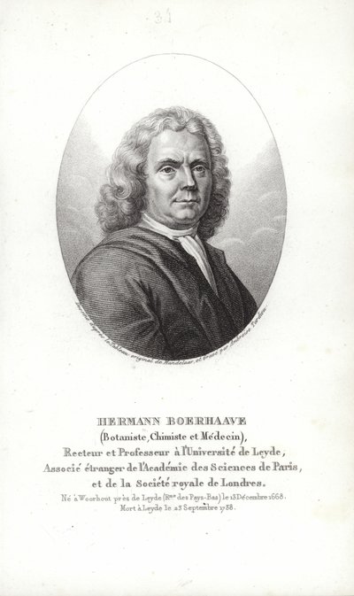 Herman Boerhaave - Dutch School