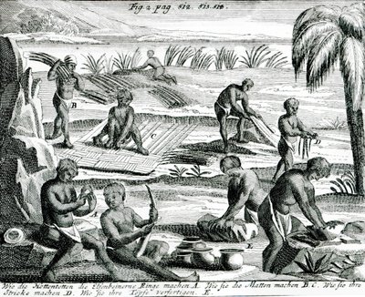 Hottentots - Dutch School