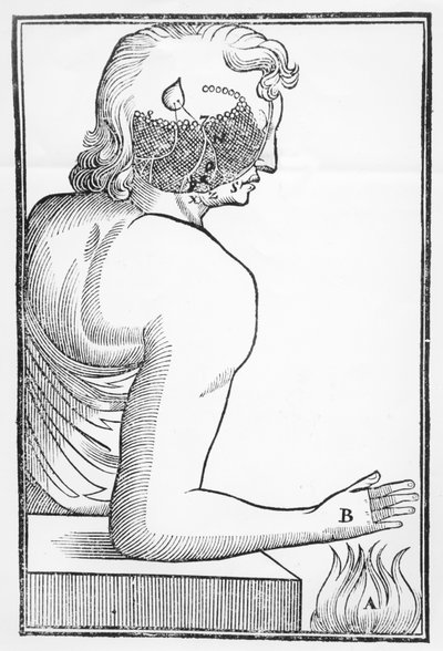 Illustration du fonctionnement et de l