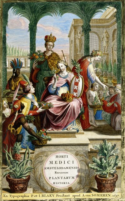Page de titre en latin - Dutch School