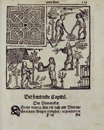 Planter des arbres, du Jardinier hollandais par Johann van der Groen, publié en 1699 - Dutch School