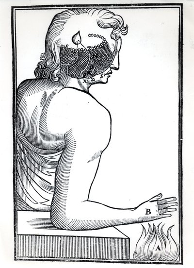 La perception des sens, de De Homine Figuris par René Descartes (1596-1650) publié à Amsterdam, 1677 - Dutch School