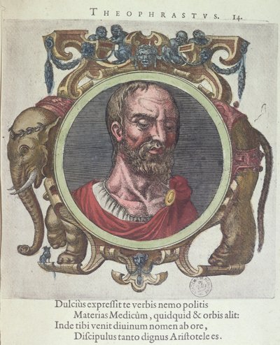 Théophraste (c.372-287 av. J.-C.), illustration de Veterum et Recentium Medicorum Philosophorumque Icones par Johannes Sambucus (1531-84), publiée par Plantin à Leyde en 1603 (gravure en couleur) - Dutch School