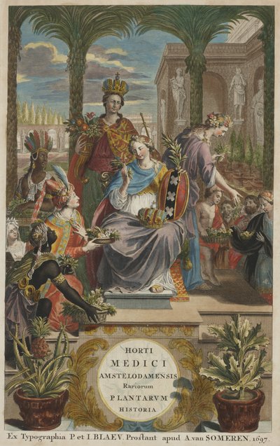 Page de titre de Horti Medici Amstelodamensis Rariorum Plantarum Historia vol. I, par Jan Commelin - Dutch School