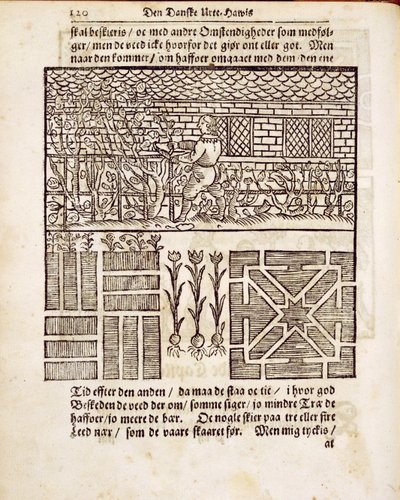 Formation et plantation dans le jardin, du Jardinier hollandais par Johann van der Groen, publié en 1699 - Dutch School