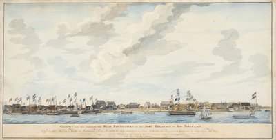 Vue de la ville de Paramaribo et du Fort Zeelandia, 1772 - Dutch School