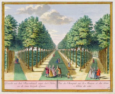 Vue du bois vers la maison et les deux avenues latérales, Watervliet, de Het Zegenpralent Kennemerlant, par Hendrick de Leth et Matthias Brouerius Van Nidek, publié c.1700-1730 - Dutch School