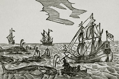 Navires baleiniers, du 