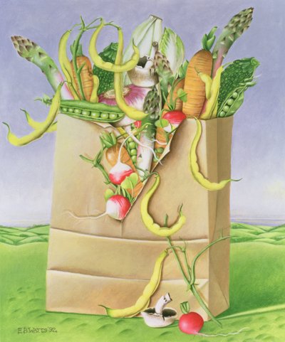 Sac en papier avec des légumes, 1992 - E.B. Watts