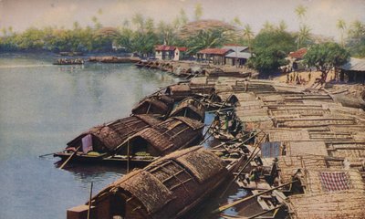 Ceylan ..., vers 1920 - ENA