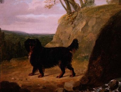 Un cocker spaniel dans le paysage - E.W. Gill