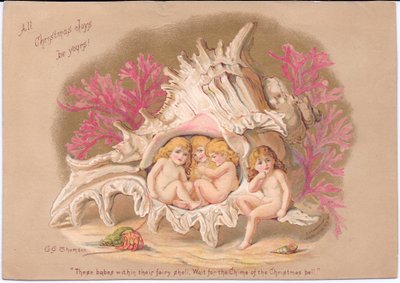 Carte de Noël victorienne de quatre bébés aquatiques assis dans une coquille de Ramrose Murex, sur fond de corail et d