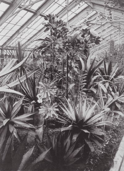 Kew Gardens, vers 1900 - E. J. Wallis