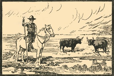 Paysage de Camargue - E Laget