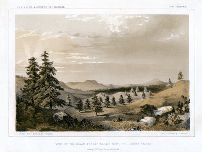 La Forêt-Noire Mount Hope et Sierra Prieta, USA, 1856 - E Stout