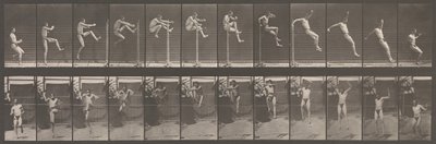 Locomotion animale. Une enquête électro-photographique sur les phases consécutives de l