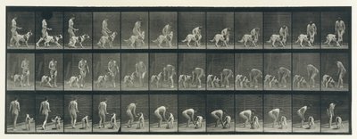 Locomotion animale. Une enquête électro-photographique sur les phases consécutives de l