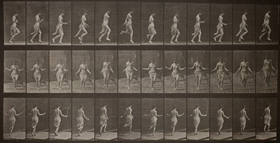 Locomotion animale, Planche 174 - Eadweard Muybridge