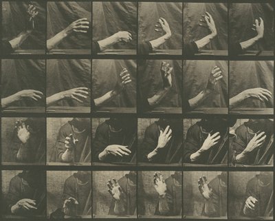 Locomotion Animale, Planche 535, 1887 - Eadweard Muybridge