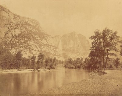 Chutes du Yosemite. (Grand ours grizzli.) Chute de 2600 pieds. - Eadweard J. Muybridge