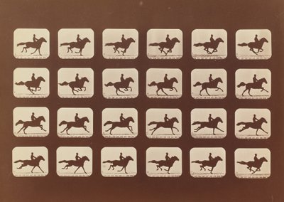 Chevaux. Courant. Phyrne L. No. 40, 1879 - Eadweard Muybridge