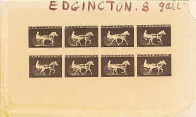 Internégatif pour chevaux. Trot. Abe Edgington. N° 28, 1878 - Eadweard Muybridge
