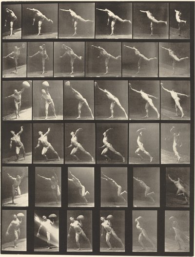 Planche Numéro 523. A: Donner un coup. B, E: Lancer un disque. C, F: Soulever une pierre de 75 lb - Eadweard Muybridge