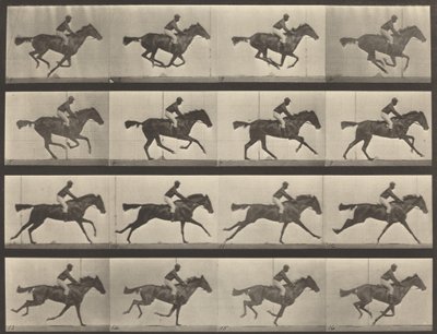 Numéro de planche 626. Gallop, jument baie pur-sang, Annie G. - Eadweard Muybridge