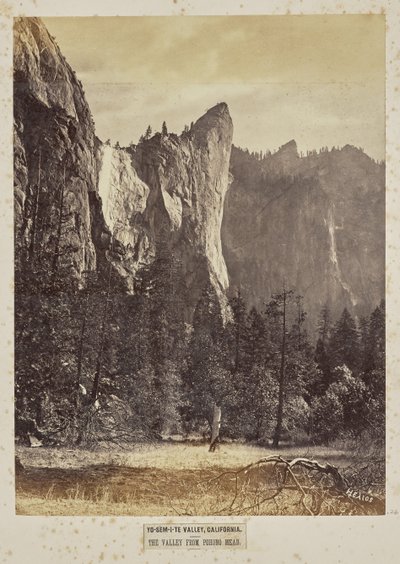 Vallée de Yo-Sem-i-te, Californie. La vallée depuis Pohono Meadows - Eadweard J. Muybridge