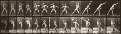 Locomotion animale (planche 319) (Homme lançant une balle) - Eadweard Muybridge