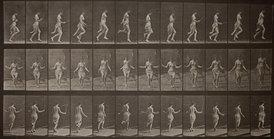 Locomotion animale, planche 174 - Eadweard Muybridge
