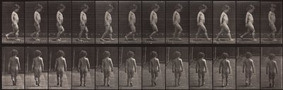 Locomotion animale, planche 467 - Eadweard Muybridge
