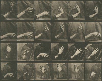 Locomotion animale, planche 535 - Eadweard Muybridge