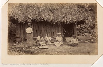 Occupations domestiques des cueilleurs de café, Las Nubes, Guatemala - Eadweard Muybridge