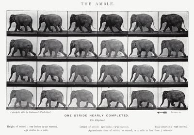 Eadweard Muybridge : L